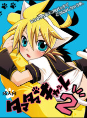 011ce644c57e55b4106c353f617e81d8