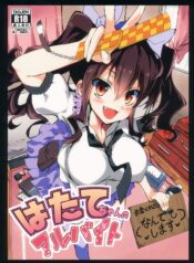 032d0ae6c6f1a99545786272c5f58f05