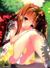 26a5ceaa085982b3c8574d11c69e38ed