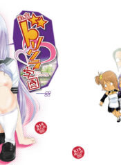 2d919677fe0c0321fa0c32403c648f28