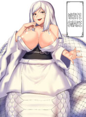 2ee9da7841a308d8a66810a0f1af169e