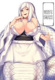 2ee9da7841a308d8a66810a0f1af169e