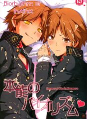 3092ecc2d120c4faea6856c47b5449bb