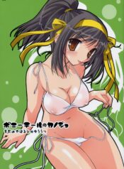 536ea1f424c17f95da52eedbd70ccfe5