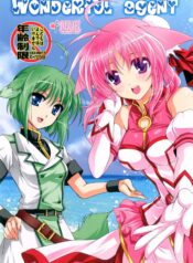 58114d01d1ccfab0d8cc9652d3361814