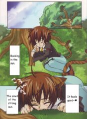 6d54f9fd5bda849cfaf8a62641c1ddc8