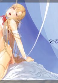 823ecb86af2283b8e5d9e18f06c03764