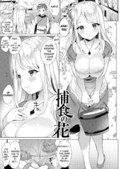 8889daad5a350c9771465c0cd04a5c37