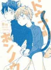 8bb995732642cd3cab16a7ec2d83029d