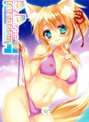 9fda7ab5a4e07731c572c957ef3bbd18