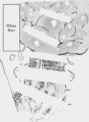 a5377fa0d02ede5518598fbe6d89ffc9