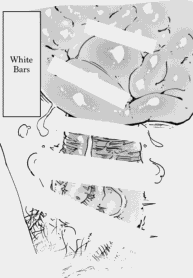 a5377fa0d02ede5518598fbe6d89ffc9