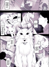 bba236447dd3cabb4844d14ddcd14810