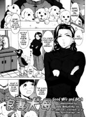 db0949d0cab81b27a930c7ea69df5162