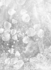 0a0e10ca2b9dcd1023c5c0421f247f83