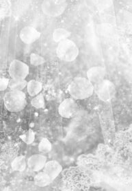 0a0e10ca2b9dcd1023c5c0421f247f83