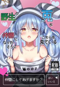 0b391b0e48157c8d796e4ae1ef12fd49