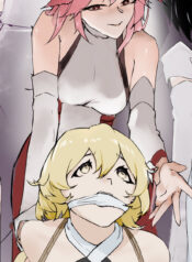 16d46a2ea229b12cb7b503b91c6d5c3d