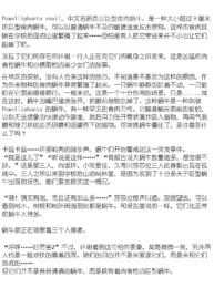 24414d052bfd29b05fd3e42ff6674a66