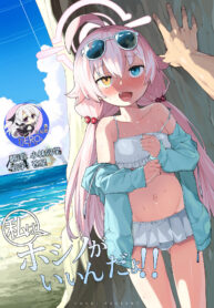 2bc1bad96a274b4fa83259d2656f12e8