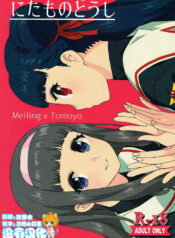 2d5e81f0b497d4032445d49e95210244