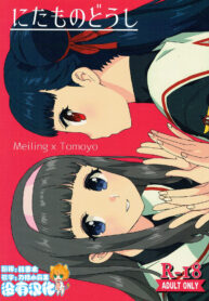 2d5e81f0b497d4032445d49e95210244