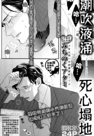 3f82dcea07923a054fa2f28191a11502