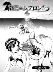 41cd449e2e5a99e80438e88edc2595bc