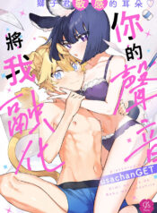 4527137603de2790674f6cb774656371