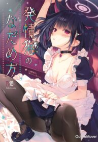 4534e3b4e6183f3c17aed8ac9f34733a