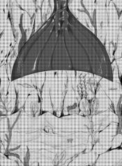 4906771da5acbfa961e989c621b7b4fd