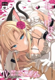 4effbb1802989c0d98c3b8355423fbeb