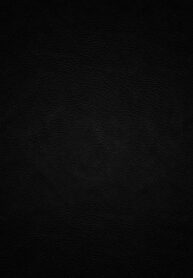 618976a5a6d87d0ab838dbe8eb70bb81