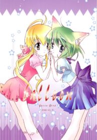 62eba6581e6537775155648be08c6afc