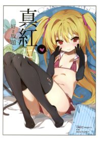 66e203cf81a797685556bcd6ee8491a7