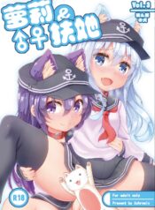 68be8ef118012a3d79dded7064753fd6