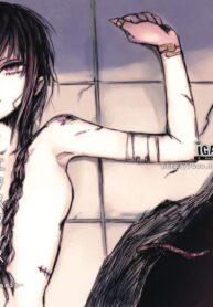 6e623d6c0b1efcdce3533b5f95a673b8