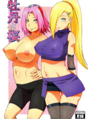 757039e12140371454dfd52bf3ab78a0