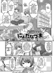 87bced9391b75a025265cd471007203d