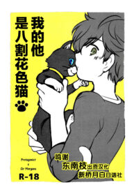 b51452794b90f696f9906baef3f71025