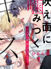 bd337e12c2f942df9910005707e8b906