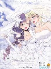 ca2c1b0787af98f9dd80f700829007f5