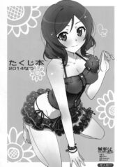 d4f3b1d585c575aa742b7f0481b64988