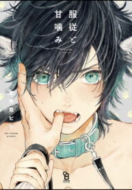 d9d735033cd1c31d11aa45ec93d21b90