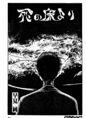 e6b9ba51c8dd480e8f7940d1555cb932